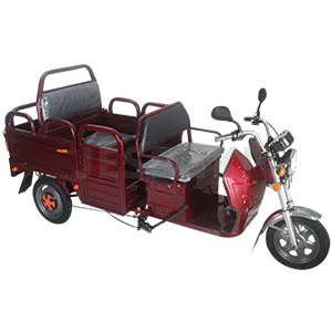 Electric bike electric motor trike scooter (7)
